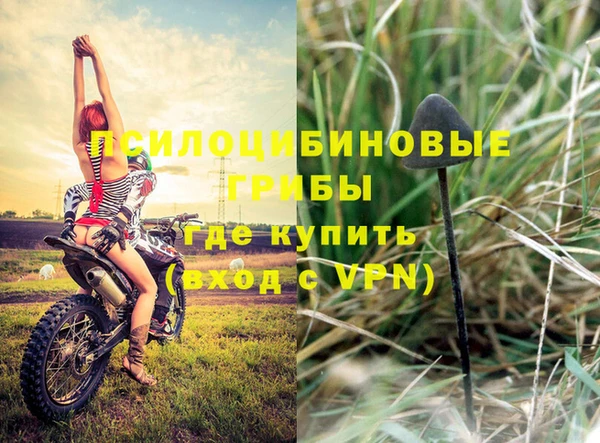 дживик Козельск