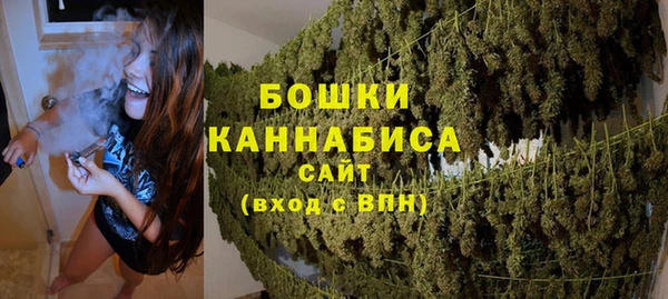 МДПВ Козловка