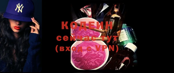 дживик Козельск