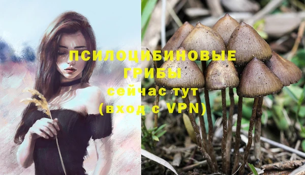 дживик Козельск
