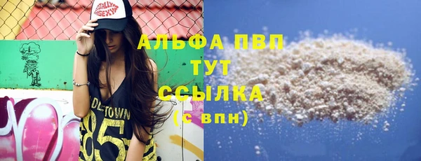 дживик Козельск