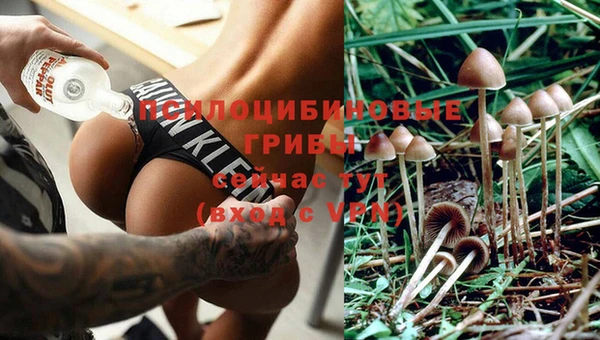 МДПВ Козловка