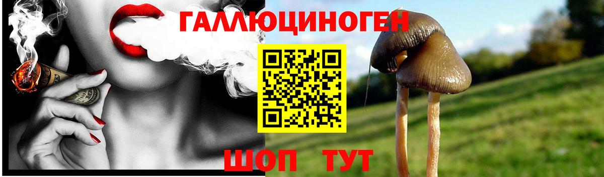 Альметьевск  Псилоцибиновые грибы Psilocybine cubensis  Вход с VPN 